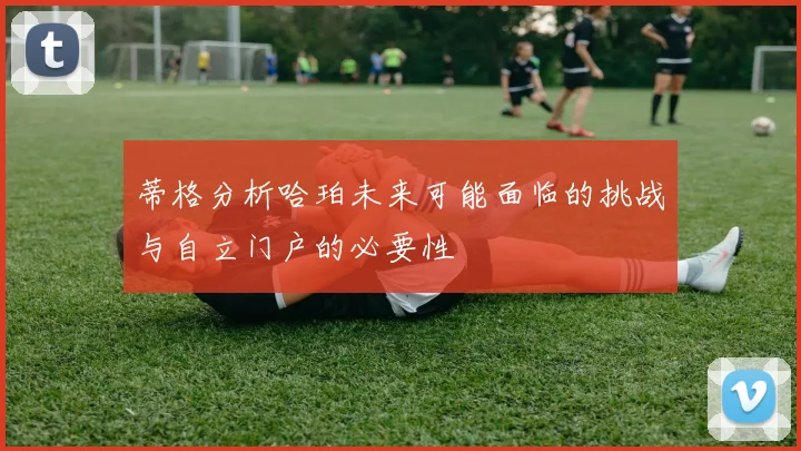 蒂格分析哈珀未来可能面临的挑战与自立门户的必要性